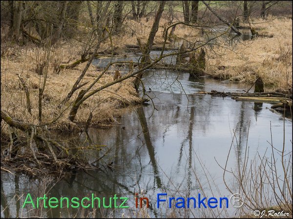 Copyright AiF Johannes Rother Bild zum Eintrag (82415-160)