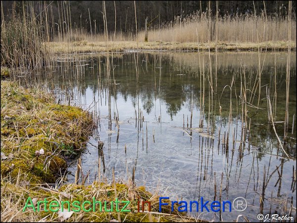Copyright AiF Johannes Rother Bild zum Eintrag (82416-160)