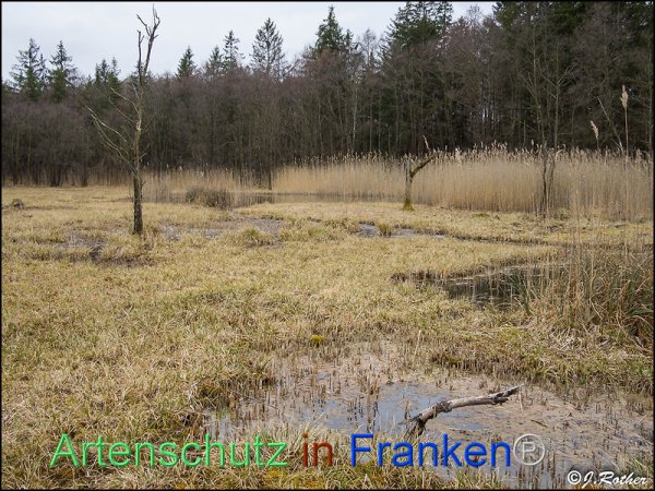 Copyright AiF Johannes Rother Bild zum Eintrag (82417-160)