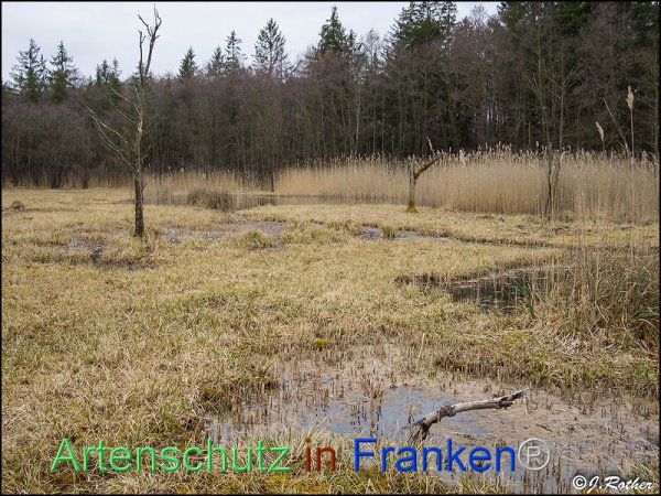 Bild zum Eintrag (82417-160)