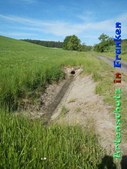 Bild zum Eintrag (83170-160)
