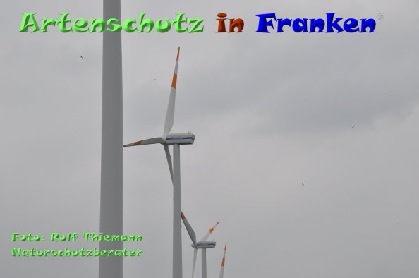 Copyright AiF-Rolf Thiemann Bild zum Eintrag (84412-160)
