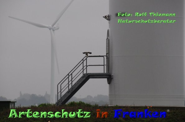 Copyright AiF Rolf Thiemann Bild zum Eintrag (84413-160)