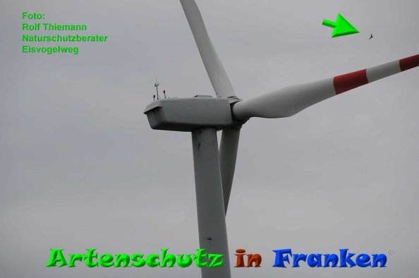 Copyright AiF-Rolf Thiemann Bild zum Eintrag (84543-160)