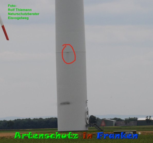 Copyright AiF-Rolf Thiemann Bild zum Eintrag (84546-160)