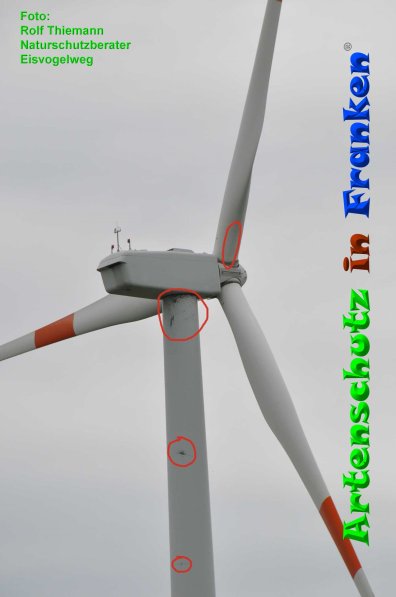 Copyright AiF Rolf Thiemann Bild zum Eintrag (84548-160)