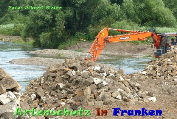 Copyright AiF - Albert Meier Bild zum Eintrag (84671-160)