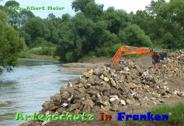 Copyright AiF - Albert Meier Bild zum Eintrag (84675-160)