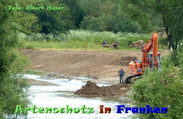 Copyright AiF - Albert Meier Bild zum Eintrag (84676-160)
