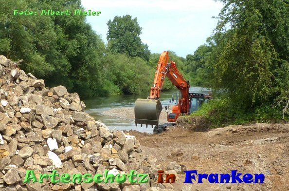 Copyright AiF - Albert Meier Bild zum Eintrag (84680-160)