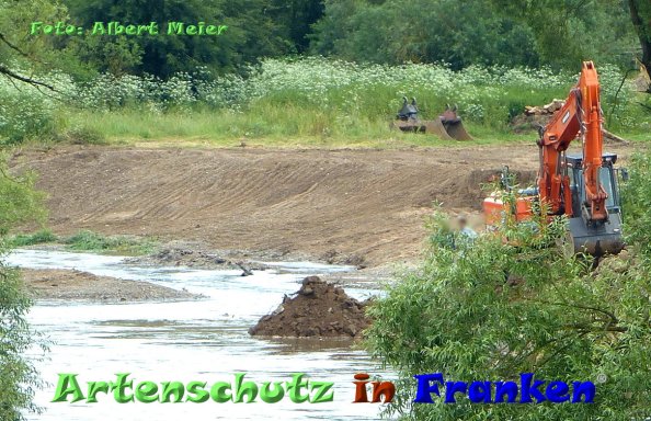 Copyright AiF - Albert Meier Bild zum Eintrag (84683-160)