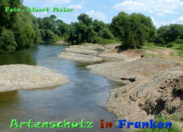 Copyright AiF - Albert Meier Bild zum Eintrag (85314-160)