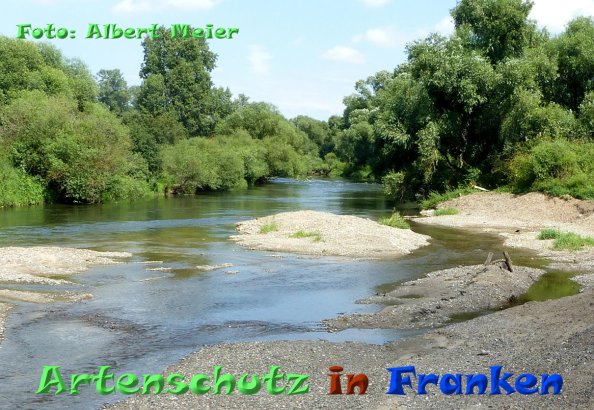 Copyright AiF - Albert Meier Bild zum Eintrag (85320-160)