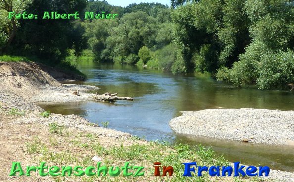 Copyright AiF - Albert Meier Bild zum Eintrag (85321-160)
