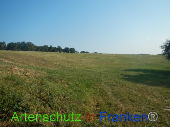 Bild zum Eintrag (86727-160)