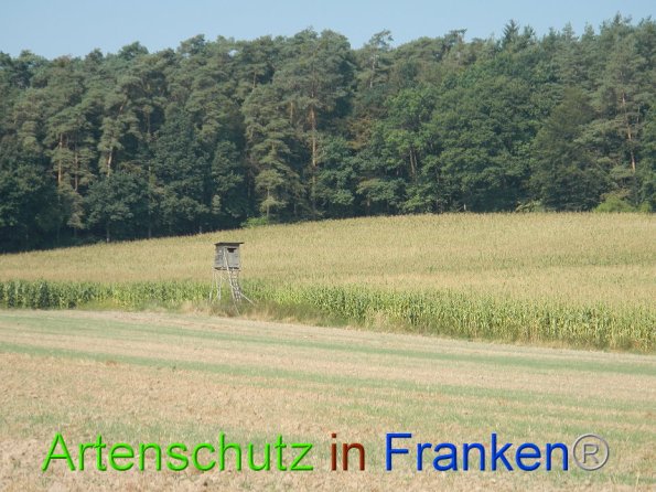 Bild zum Eintrag (86735-160)