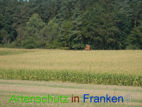 Bild zum Eintrag (86736-160)