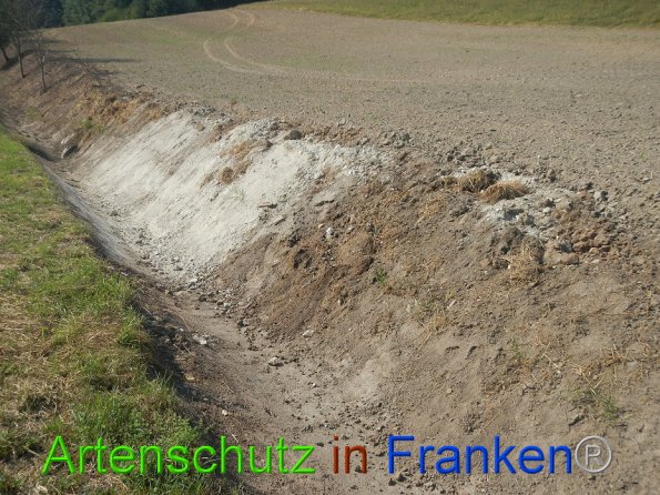 Bild zum Eintrag (86752-160)