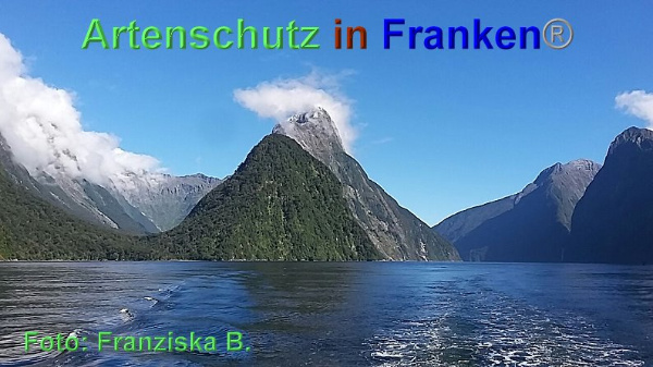 Copyright AiF / Franziska B. Bild zum Eintrag (90316-160)