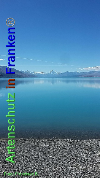 Copyright AiF / Franziska B. Bild zum Eintrag (90317-160)