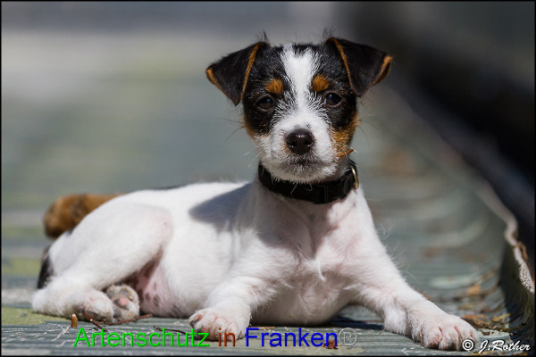 Copyright AiF Johannes Rother Bild zum Eintrag (91303-160)