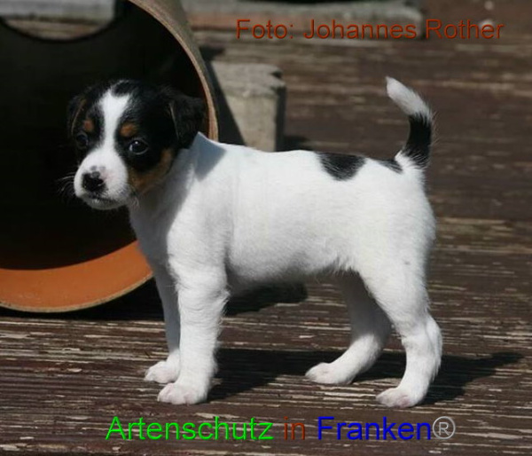 Copyright AiF Johannes Rother Bild zum Eintrag (91306-160)