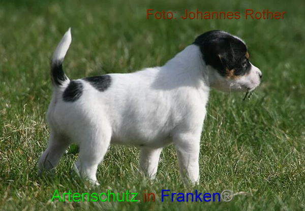 Copyright AiF Johannes Rother Bild zum Eintrag (91307-160)