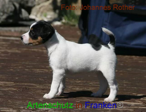 Copyright AiF Johannes Rother Bild zum Eintrag (91308-160)