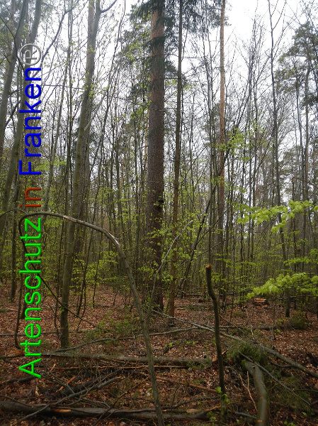 Bild zum Eintrag (91315-160)