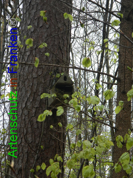 Bild zum Eintrag (91317-160)