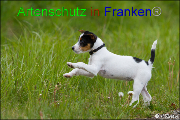 Copyright AiF Johannes Rother Bild zum Eintrag (91448-160)