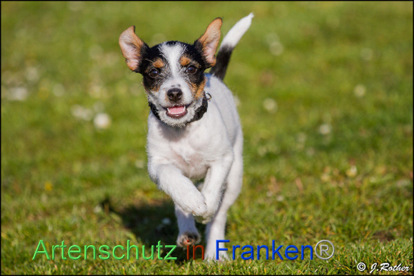 Copyright AiF Johannes Rother Bild zum Eintrag (91825-160)