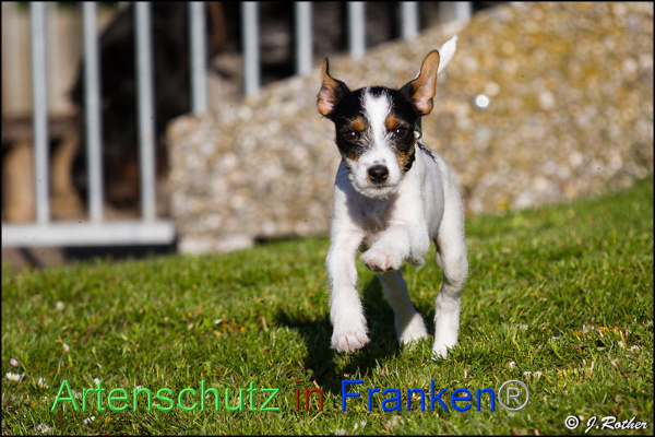Copyright AiF Johannes Rother Bild zum Eintrag (91826-160)