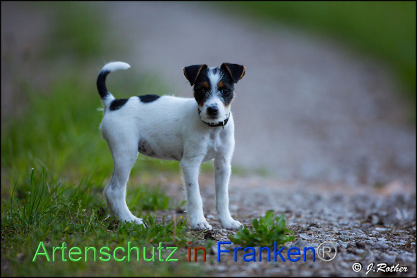 Copyright AiF Johannes Rother Bild zum Eintrag (91828-160)