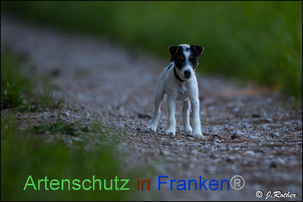 Copyright AiF Johannes Rother Bild zum Eintrag (91829-160)