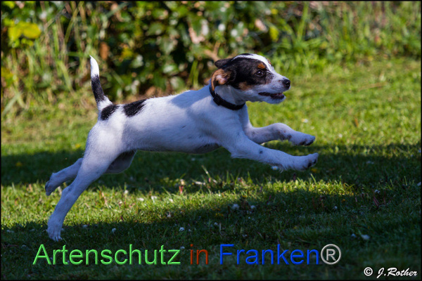 Copyright AiF Johannes Rother Bild zum Eintrag (91830-160)
