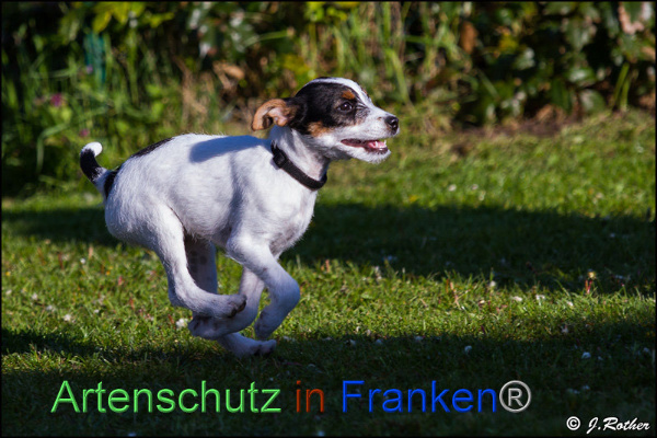 Copyright AiF Johannes Rother Bild zum Eintrag (91831-160)