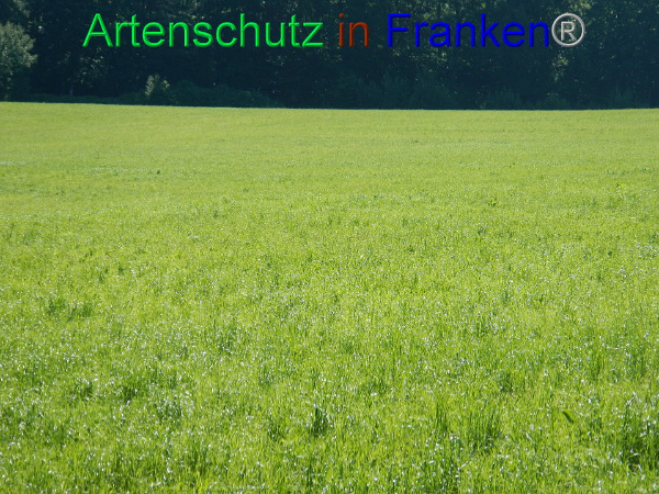 Bild zum Eintrag (92265-160)