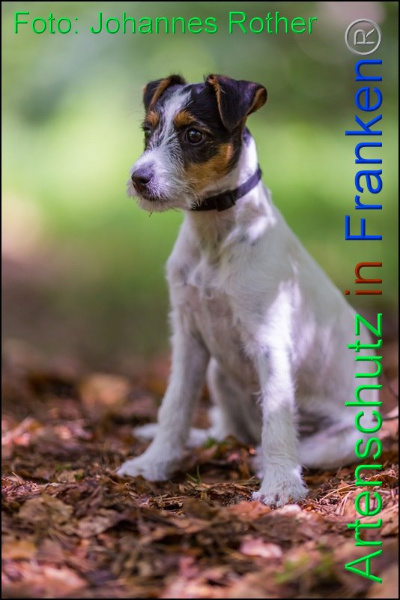 Copyright AiF Johannes Rother Bild zum Eintrag (92300-160)