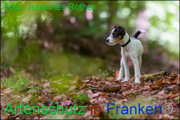 Copyright AiF Johannes Rother Bild zum Eintrag (92301-160)