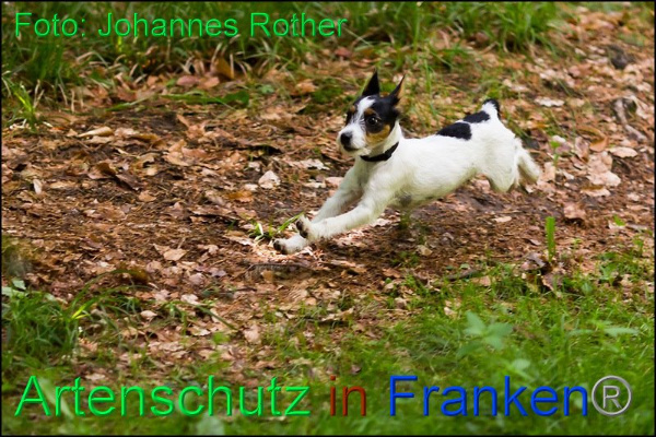 Copyright AiF Johannes Rother Bild zum Eintrag (92302-160)