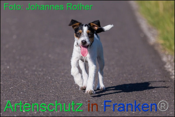 Copyright AiF Johannes Rother Bild zum Eintrag (92303-160)