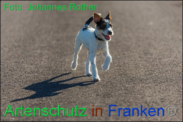 Copyright AiF Johannes Rother Bild zum Eintrag (92304-160)