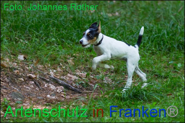 Copyright AiF Johannes Rother Bild zum Eintrag (92305-160)