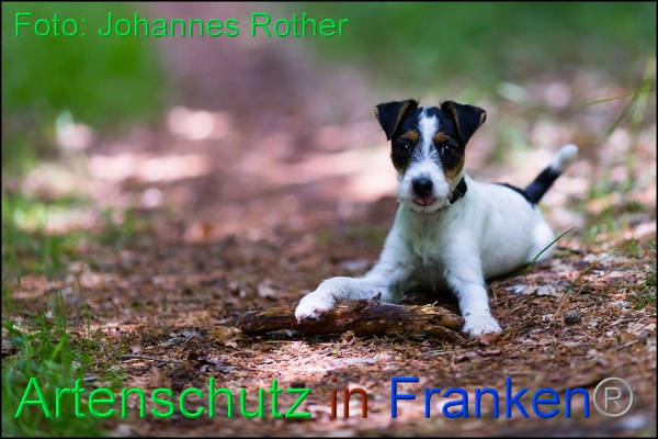 Copyright AiF Johannes Rother Bild zum Eintrag (92306-160)