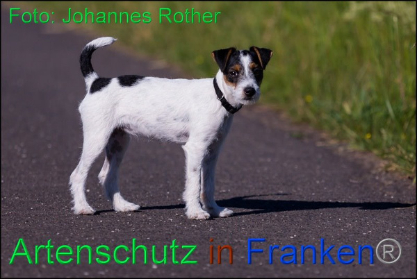 Copyright AiF Johannes Rother Bild zum Eintrag (92307-160)