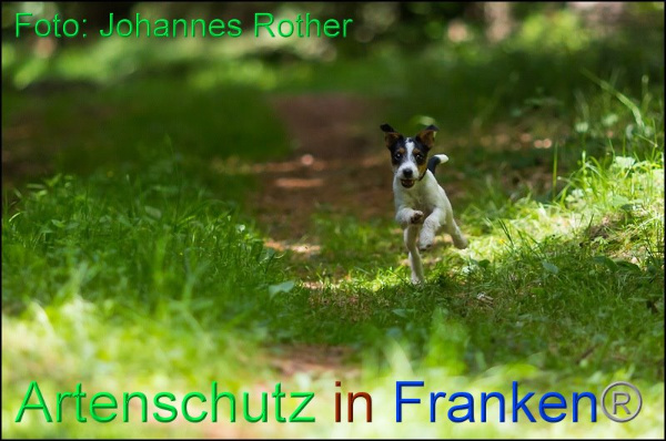 Copyright AiF - Johannes Rother Bild zum Eintrag (92308-160)