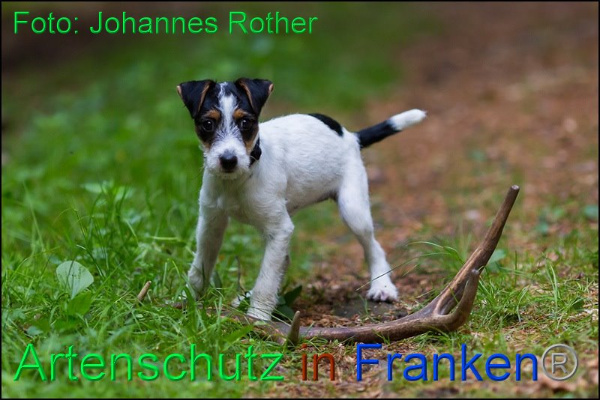Copyright AiF Johannes Rother Bild zum Eintrag (92309-160)