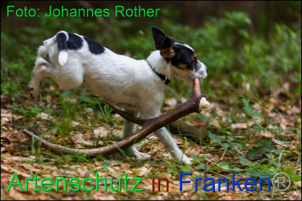 Copyright AiF Johannes Rother Bild zum Eintrag (92310-160)