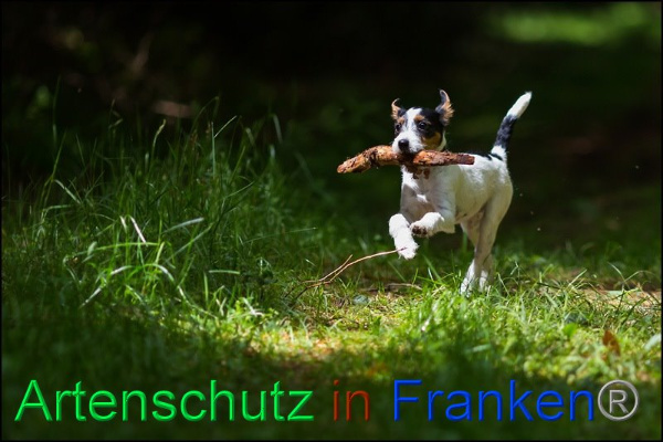 Copyright AiF Johannes Rother Bild zum Eintrag (92311-160)